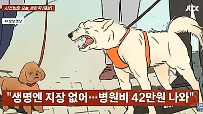 시댁 진돗개가 며느리 반려견 물어…입마개 두고 갈등