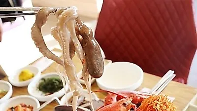 [맛집 탐방] 파주 '약선마을' 담백한 랍스타 해신탕으로 주말 식도락 맛집 인기