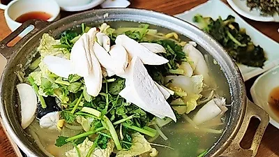 강원도 속초 맛집 '이조복국' 자연산 복어로 환절기 보양식 제격