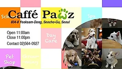 카페포우즈