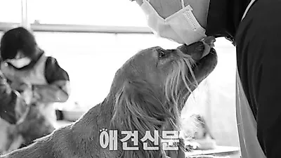 와이낫스튜디오, 유기동물 다큐사진전 개최