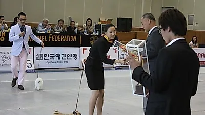 2010 KKF 챔피언쉽 도그쇼 발안 바이오 과학 고등학교에서 개최