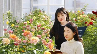 농촌진흥청, '국산 장비 새품종 평가회' 24일 개최