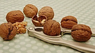 기억을 앗아가는 병 '치매' ,  예방법은 무엇 …뇌에 좋은 음식 및  치매 초기증상과 원인은?