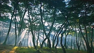 [국내1박2일여행] '나혼자', '미스터션샤인' 나온 '경주 가볼만한곳' 어디? 가을 '핫플레이스' 모음