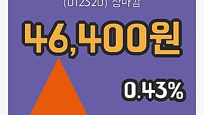 주식마감경동인베스트 26일 46,400원 장종료