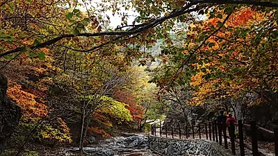[2018가을여행주간] 주말 나들이 <리틀 포레스트>·<미스터 선샤인> 촬영지 '경북 기차여행' 추천…1박 2일 코스·맛집은? 