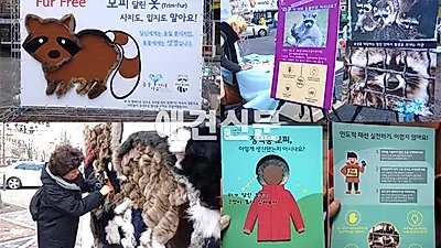 동물자유연대, Fur Free 캠페인 진행 '라쿤에게 털을 돌려주세요!'