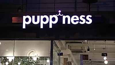 애견카페 퍼피니스