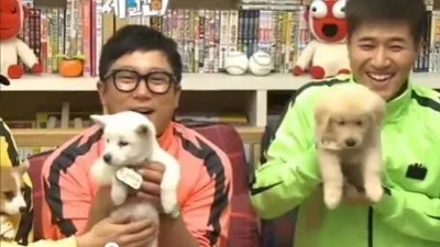 오락프로그램에 너무 어린 강아지가 고정출연??