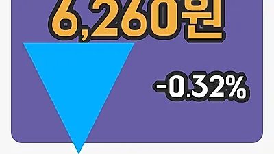 국내주식마감남영비비안 17일 6,260원 장 마쳐그래프종합복습