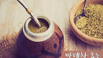 옷 얇아지는 봄, 다이어트차로 알려진 '마테차 효능' 확인