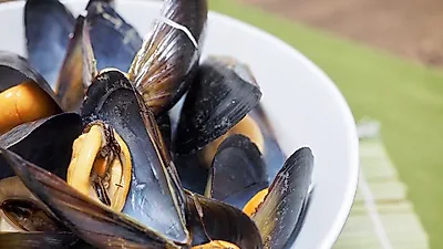 '맛있는 녀석들' 홍합밥정식,  맛집 위치와 맛은 어떨가...제철맞은 홍합 효능은?