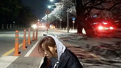 안혜경, 반려견과 벚꽃 나들이 "우리 럭키 우쭈쭈~"