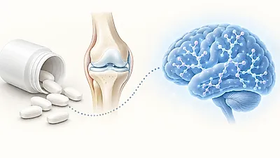 관절 영양제 글루코사민, 경도인지장애 환자 치매 전환과 연관?…美 연구 "인과관계는 임상시험 필요"