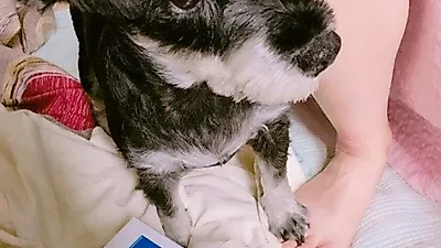 채수빈 반려견, 앙증맞게 발 올리고 "과자 하나만 줘"