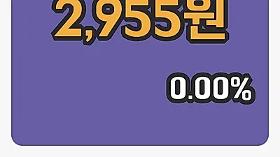 주식마감디딤 11일 2,955원 장종료