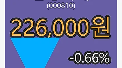 6일 삼성화재마감가 226,000원, -0.66% 등락..