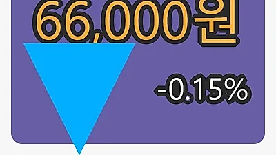 6일 한국단자마감가 66,000원, -0.15% 등락..
