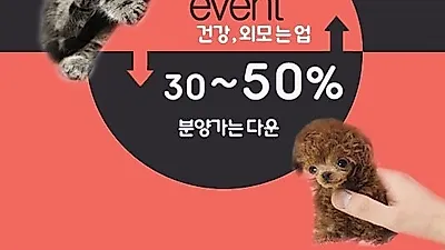 강아지, 고양이 분양 전문업체 '아담스펫' 무료 분양 이벤트와 다양한 혜택으로 눈길을 끌어
