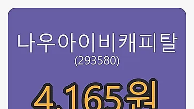 6일 나우아이비캐피탈마감가 4,165원, 전일대비 -6.19퍼센트 변동..