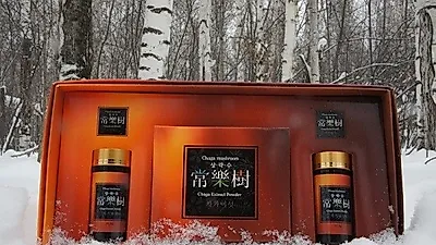 추출분말 제조 방법 특허 등록한 '상락수 차가버섯' 무료샘플 누구나 신청가능