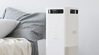 샤오미미에어2S vs 발뮤다 공기청정기, 어떤 것 사지? 설 선물로 추천, 후기는?
