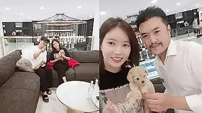 1~3층 대규모 강아지분양샵 김포 펫갤러리아&강남 펫제이, 애프터 해피콜 케어 서비스