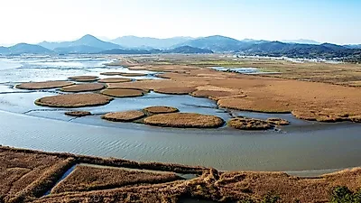 '람사르습지' 뭐기에… 순천만습지 등 물새가 찾는 '람사르습지 도시'로 지정된 곳은?
