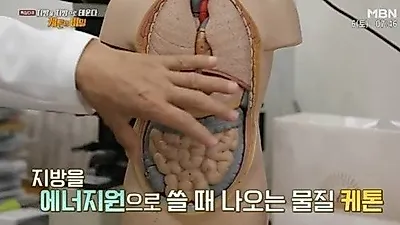 케톤 다이어트 관심..섭취 방법 및 부작용은?
