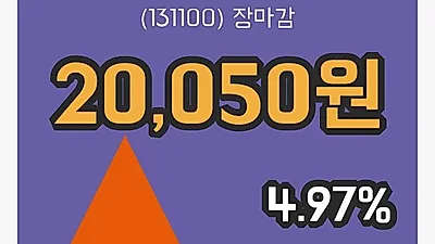 국내주식마감리켐 9일 20,050원 장 마쳐