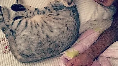 씨스타 효린, 레고와 다정한 침대 셀카 "함께 있어줘"