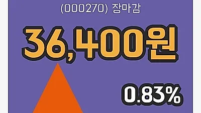 주식마감기아차 8일 36,400원 장종료...