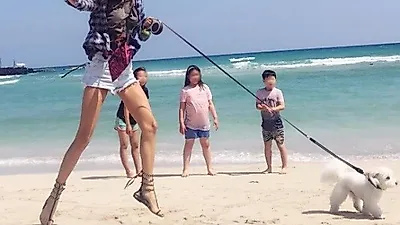 김재경 반려묘 마카롱과 해변 데이트