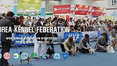 "참가 반려견 1,600마리", '2017 서초 FCI 국제 도그쇼' 11일 개최