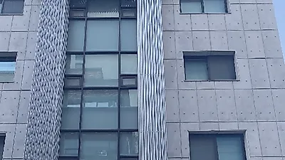 논현강아지분양 '루피퍼피', 안전한 환경에서 자란 건강한 반려견 분양