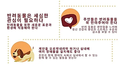 ‘집콕’ 기간, 반려동물도 체중 관리해야…식이조절 필수