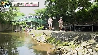 '개밥 주는 남자', 반려견 진드기 퇴치제 사용법은
