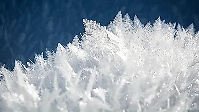 추운겨울 몸을 따듯하게 해줄 생강 과 농산물들