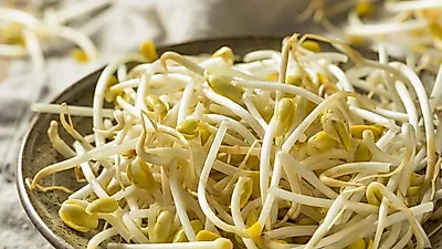 반려식물 인기 높아지면서 '집에서 콩나물 키우기' 관심↑…콩나물 효능은?
