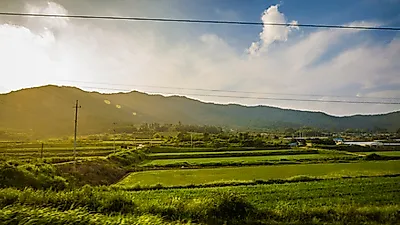[보성 가볼만한곳]보성군에서 즐기는 율포전어축제