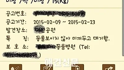 동물보호관리시스템, 동물 포획 사진에 풍경사진??