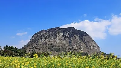 [제주도 맛집 추천] 성산일출봉·서귀포·동부·세화 등 제주도 맛집·카페 가볼만한 곳 알아보기