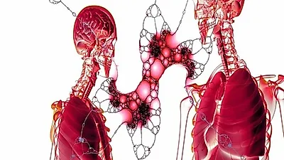 3시간이 골든타임인 '뇌경색 전조, 초기 증상은?'…"뇌경색에 좋은 음식 꾸준히 먹어야 예방"