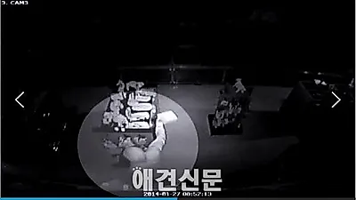 미국 라스베가스에서 애견샵 방화범 체포