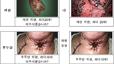 담뱃갑 경고그림·문구 12개 교체한다...올해 12월23일부터 적용