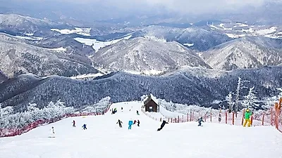 '만성 적자' 스키장 리조트, "온라인광고 마케팅은 어떨까?"