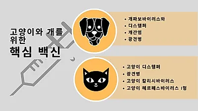 반려동물 위한 필수 예방접종은? 부작용 대부분 경미해