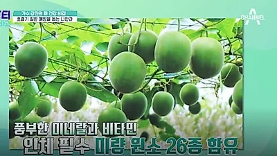 고지혈증·폐에 좋은 '0칼로리' 음식 '나한과'의 정체는? 감기에 좋은 효능까지