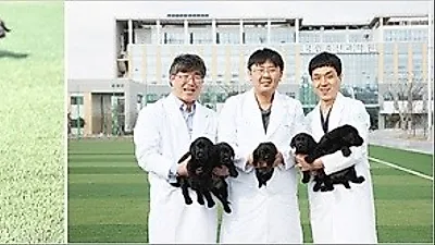 전설적 명견 능력 받은 복제견, 세대교체 가져온다